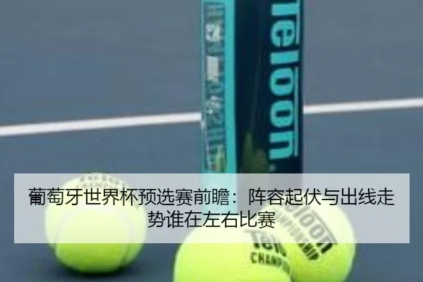 葡萄牙世界杯预选赛前瞻：阵容起伏与出线走势谁在左右比赛